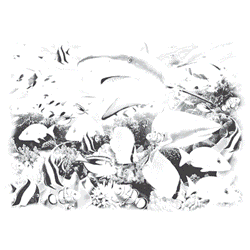 REEF SHARKS D 16978SA4.gif